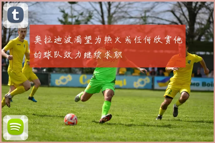奥拉迪波渴望为热火或任何欣赏他的球队效力继续求职
